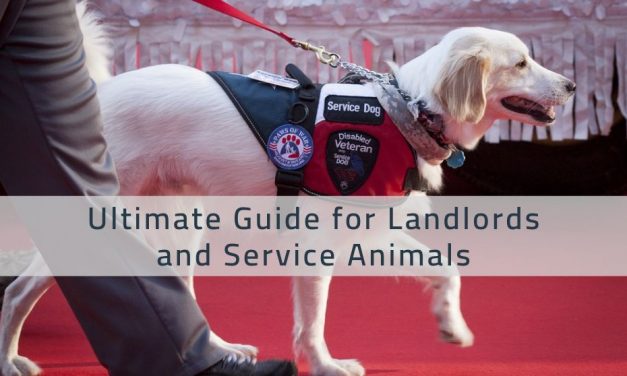 Ultimate Guide for Landlords and Service Animals