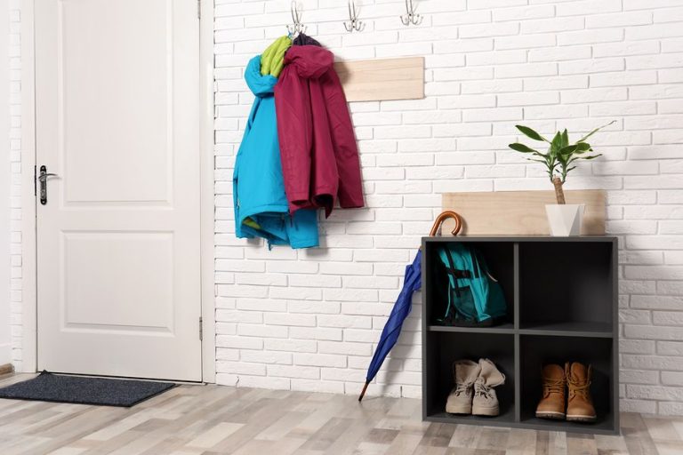 Stylish Storage Solutions for Closetless Rentals