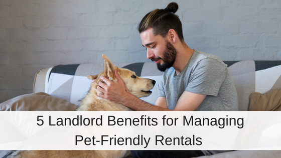 5 Reasons You Should Allow Pets At Your Rental Property