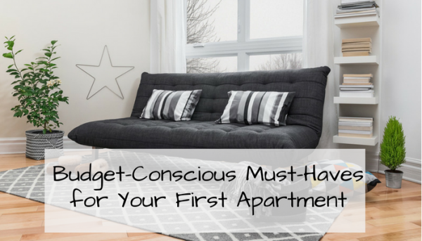https://www.rentecdirect.com/blog/wp-content/uploads/2018/07/Budget-Conscious-Must-Haves-for-Your-First-Apartment-600x343.png
