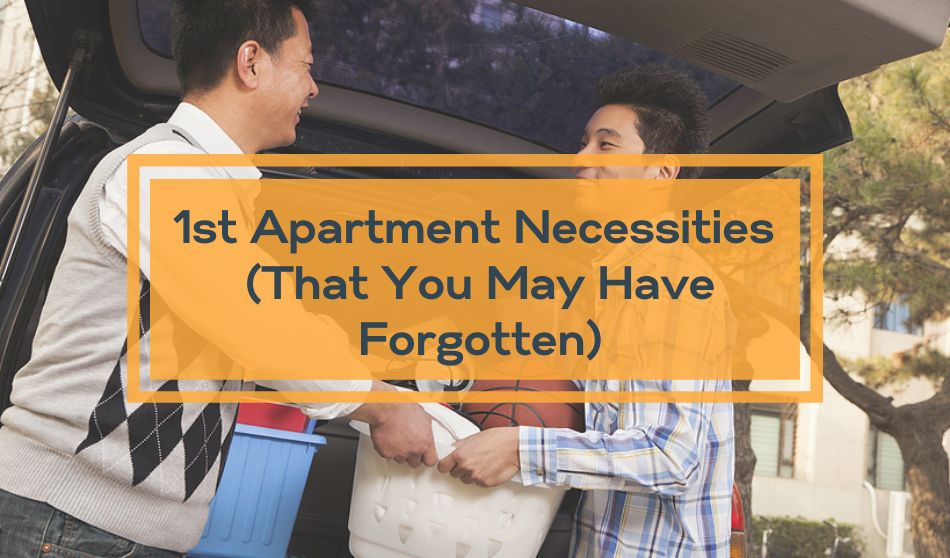 https://www.rentecdirect.com/blog/wp-content/uploads/2019/04/1st-Apartment-Necessities-That-You-May-Have-Forgotten-1.jpg