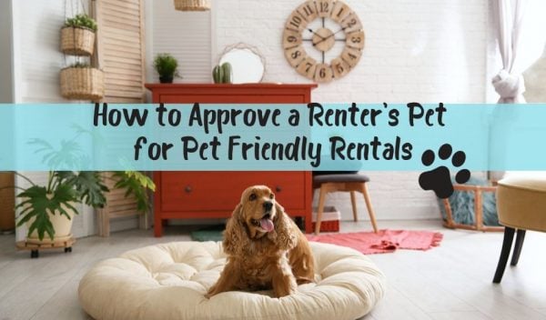 How to Approve a Renter's Pet for Pet Friendly Rentals