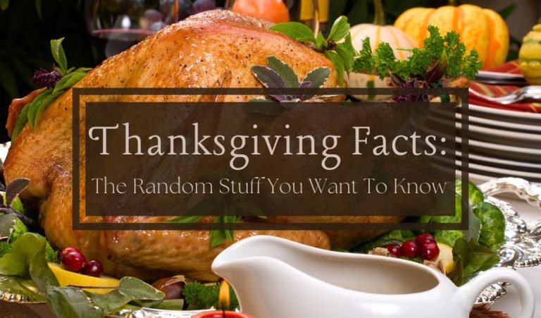 Thanksgiving Facts: The Random Stuff You Want To Know