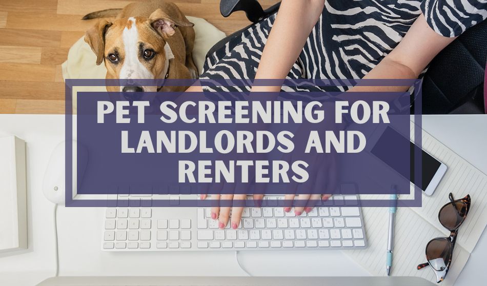 Pet Screening for Landlords and Renters