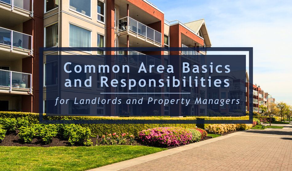 Common Area Basics and Responsibilities for Landlords and Property Managers