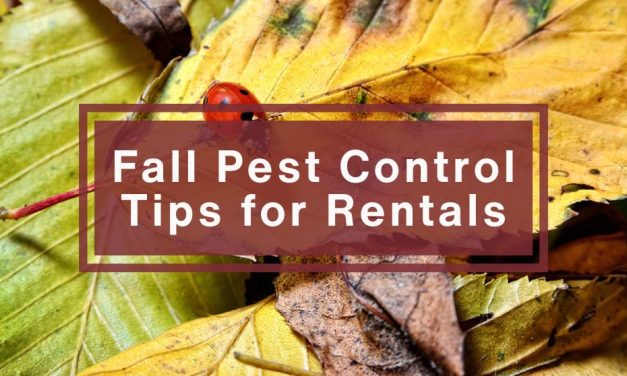 Fall Pest Control Tips for Rentals