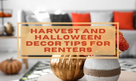 Harvest and Halloween Decor Tips for Renters