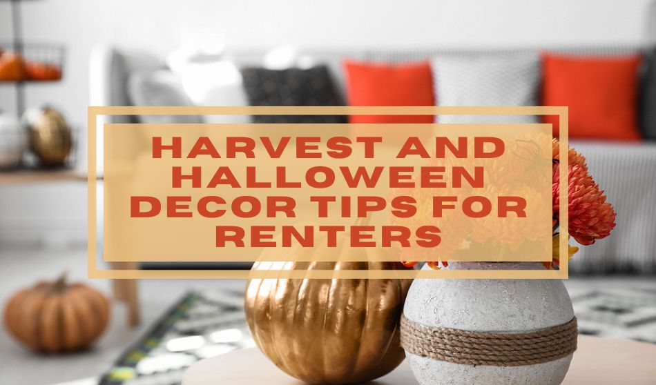 Halloween decor for renters