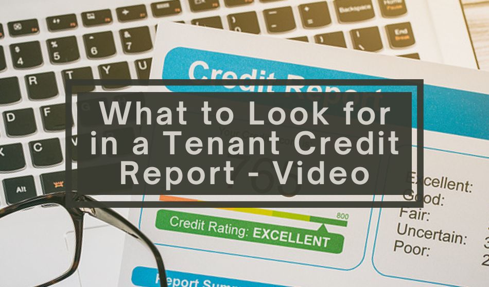 What to Look for in a Tenant Credit Report – Video